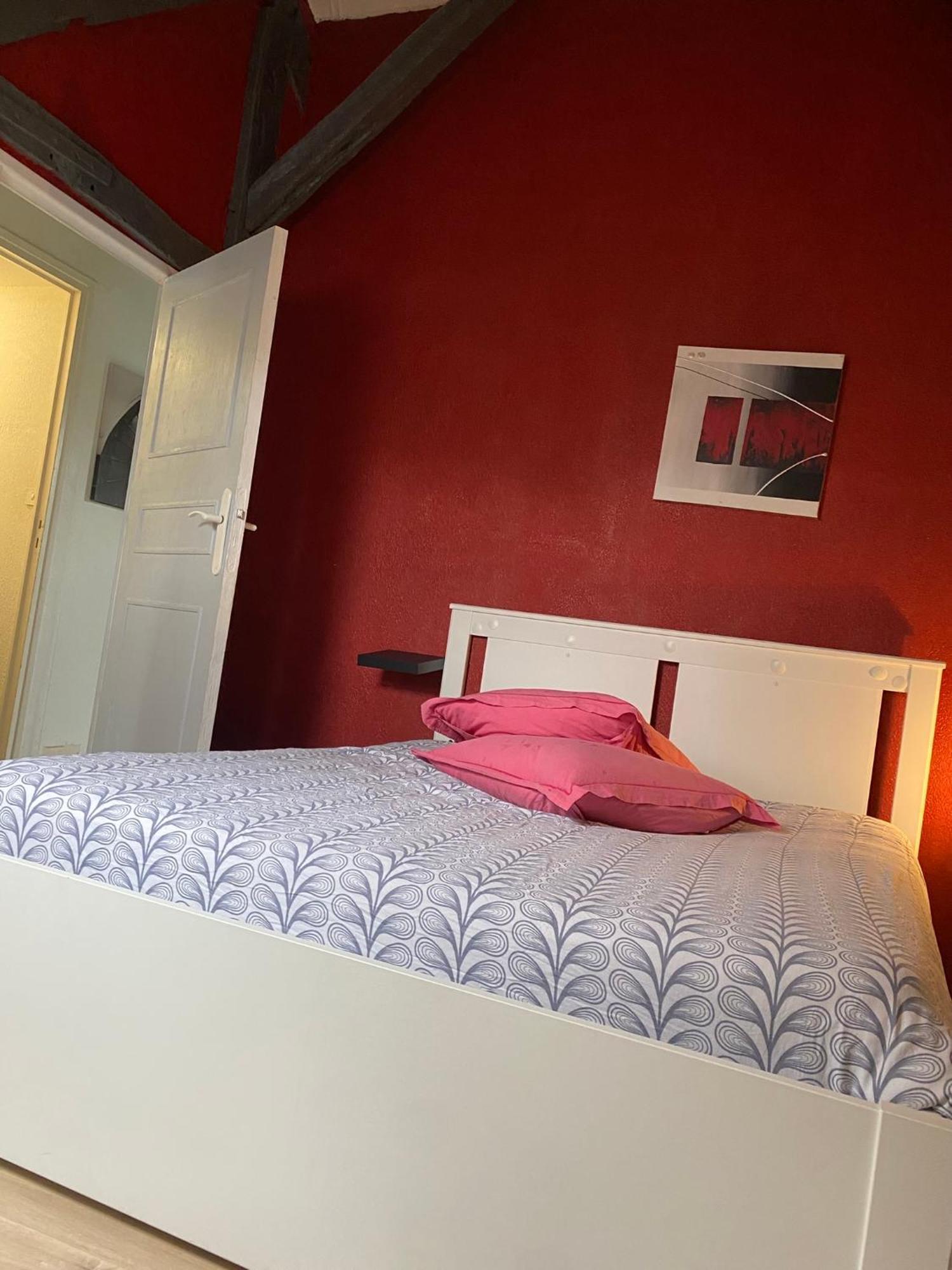 Ferienwohnung Charmant Duplex Rue Colbert Tours Exterior foto